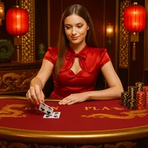 Spinaro - Live Baccarat - Immersion Sociale